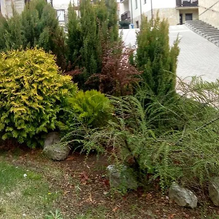 Marjana Zlatibor